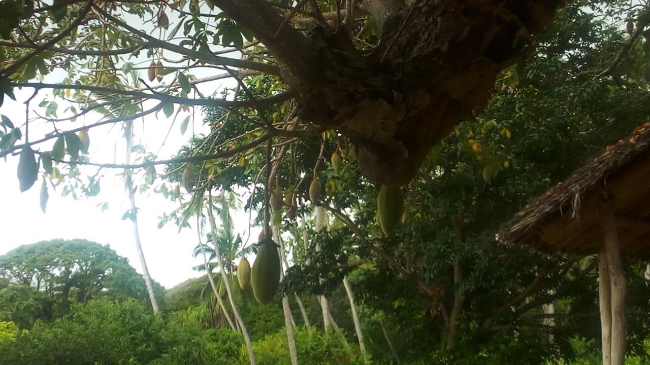 Bahari Pori Resort Pangani Luaran gambar