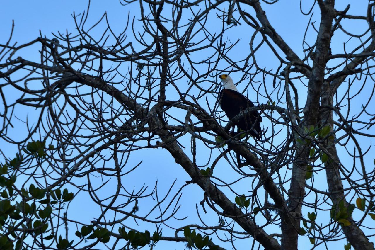 Bahari Pori Resort Pangani Luaran gambar